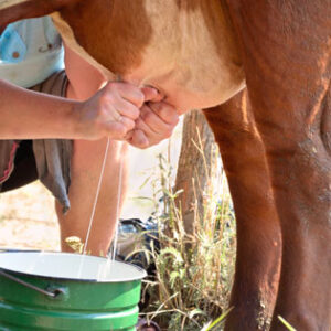 2015 Homesteaders of the Year Nominations Call-Out Image